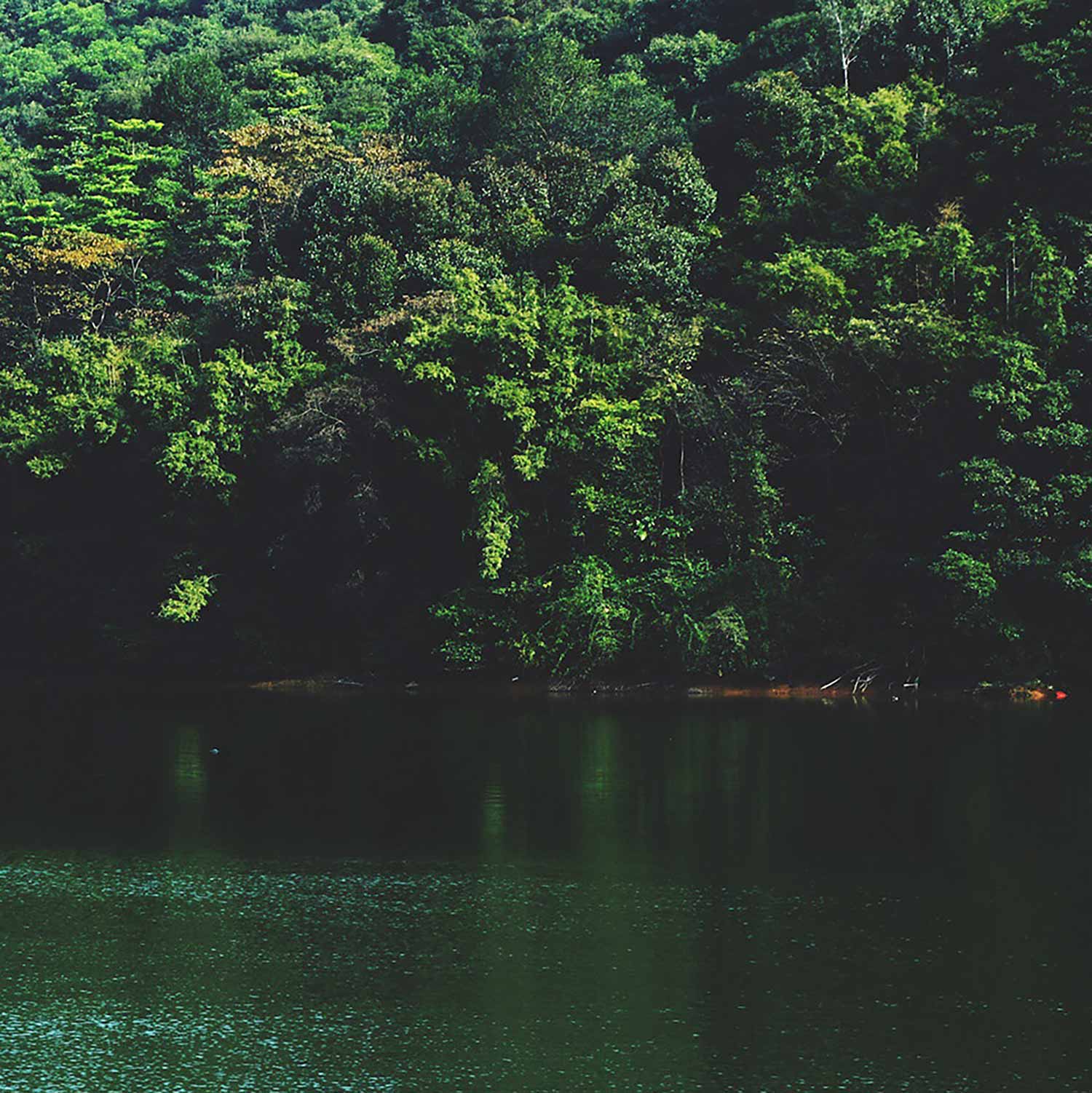 For Japanese Environment